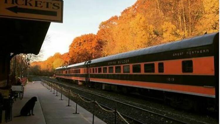 Osceola & St. Croix Valley Railway | Osceola, WI