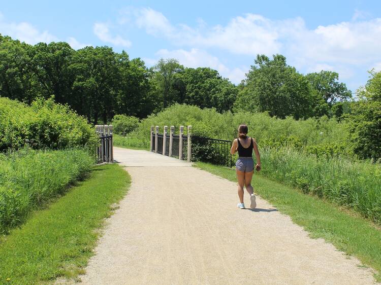Middlefork Savanna Trail | Lake Forest, IL