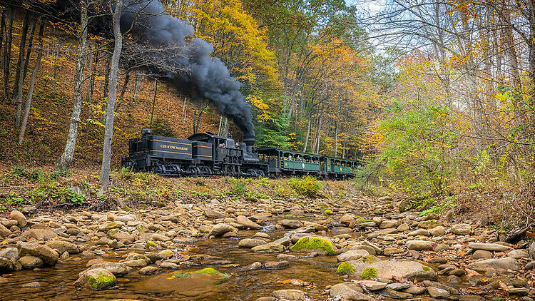 Durbin & Greenbrier Valley Railroad | Elkins, WV