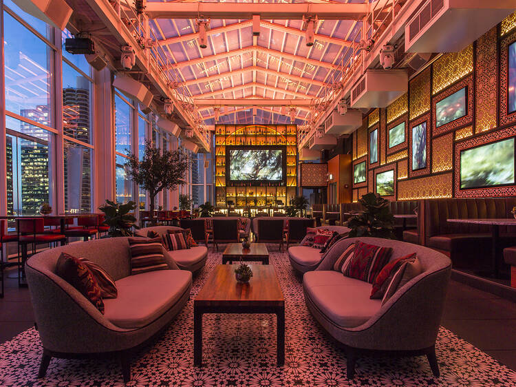 ROOF on theWit