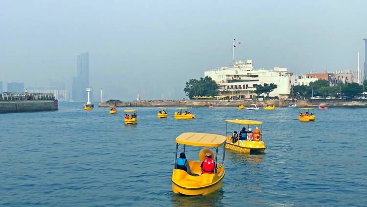 Go pedal boating on Victoria Harbour