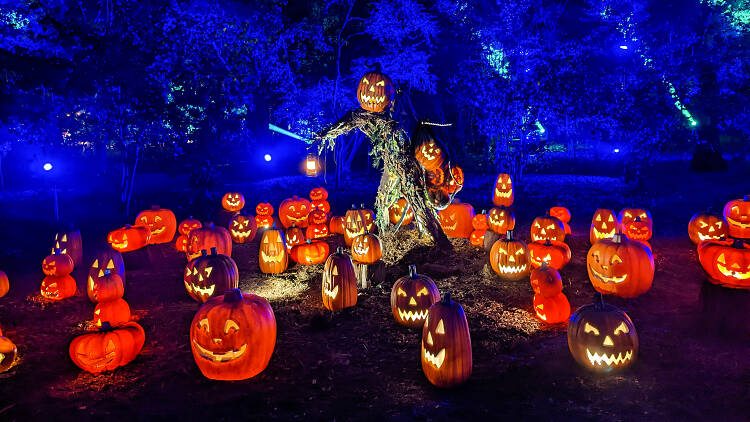 Halloween events in L.A. for spooky fun