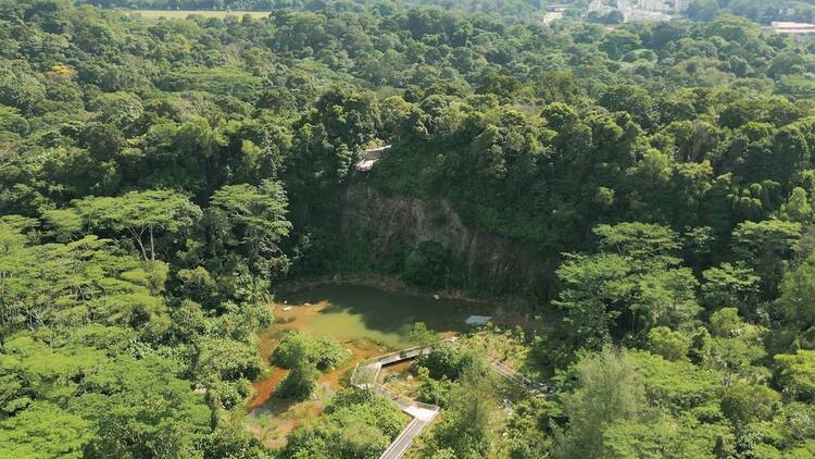 Get your fill of lush greenery at Rifle Range Nature Park