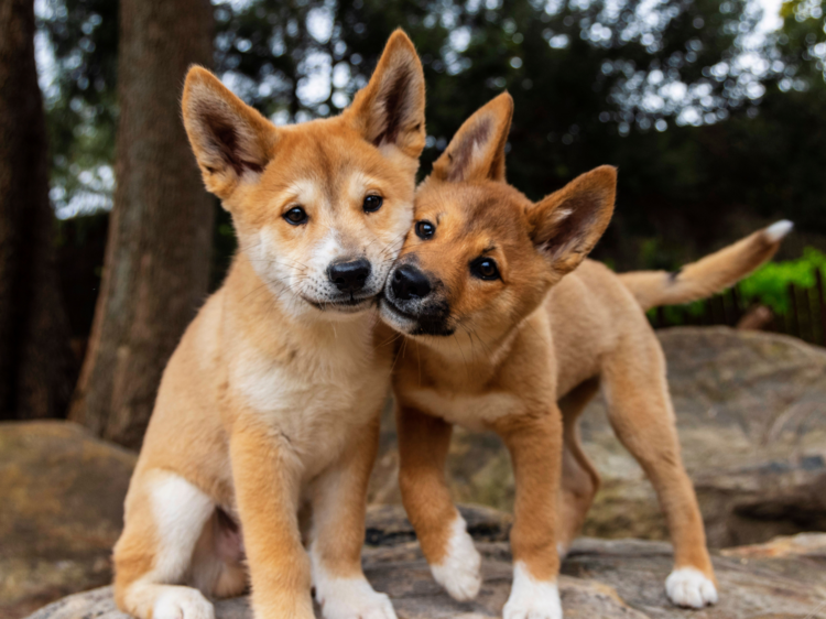 The best wildlife parks The best wildlife parks
