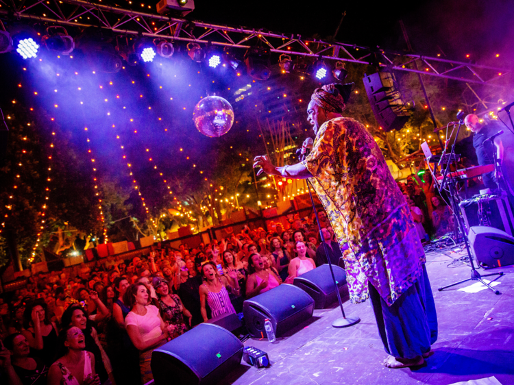 Have fun at Darwin Festival
