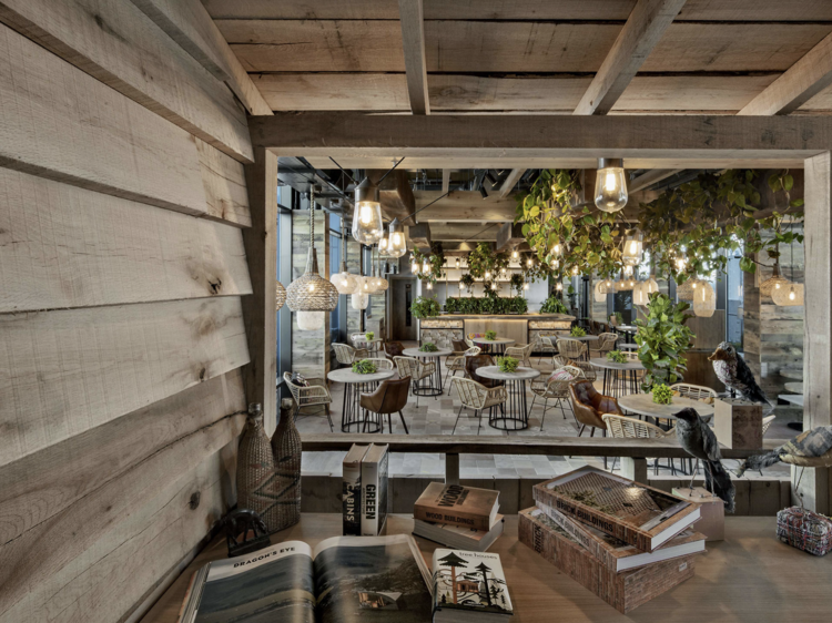 Treehouse Hotel