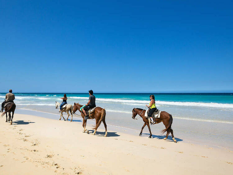 The 9 best things to do in Punta Cana The 9 best things to do in Punta Cana