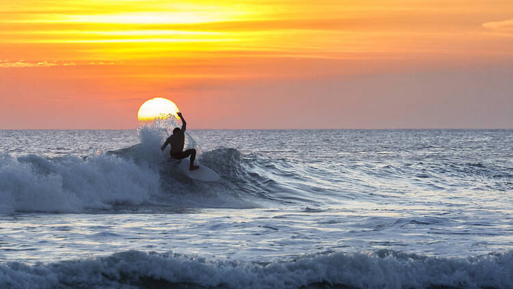 Catch a wave Catch a wave