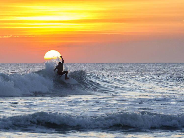 Catch a wave Catch a wave