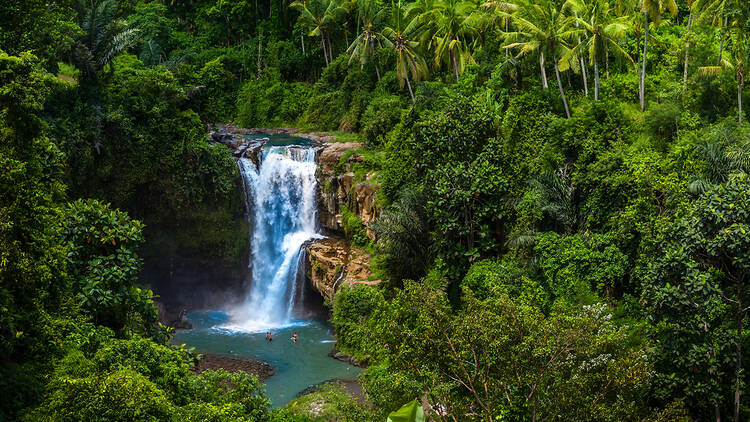 The best things to do in Bali