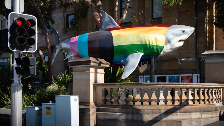 Progress Shark, the Australian Museum