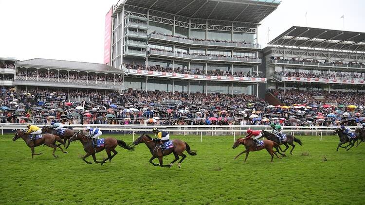 Have a day out at York Racecourse