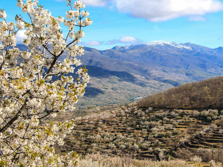 Valle del Jerte