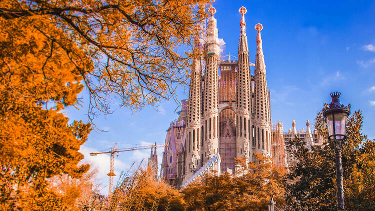 Basilica,Of,The,Sagrada,Familia,In,Barcelona