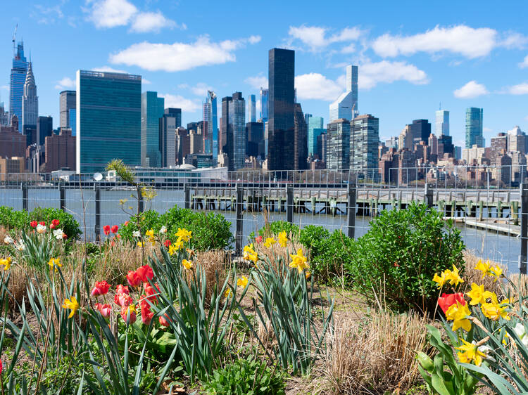 The best things to do in NYC