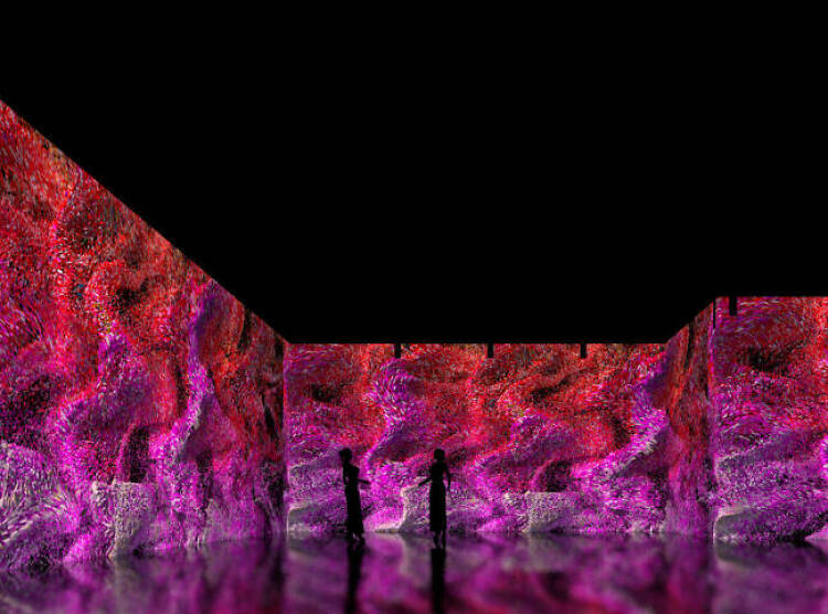 Get immersive at Nomad Museo