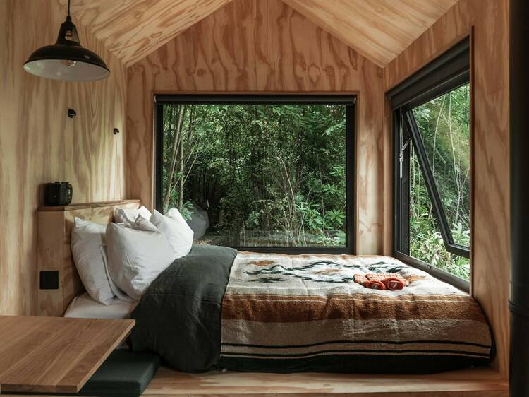 We went off-grid in a cabin in the forest and I barely touched my phone