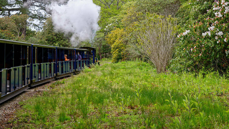 Exbury Gardens