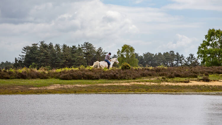 Burley Villa School of Riding