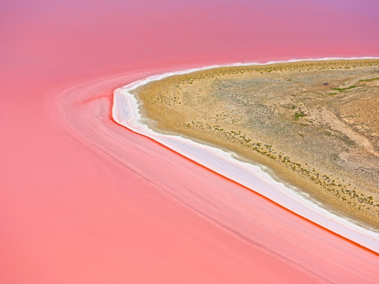 Peach - Kati Thanda-Lake Eyre, South Australia
