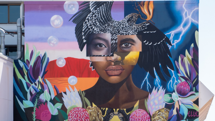 Explore Darwin's best street art