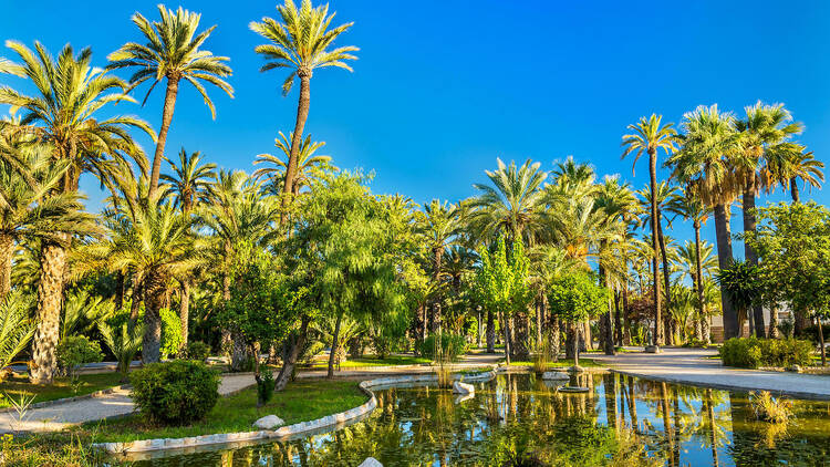 Elche, cuna de las alpargatas con plataforma