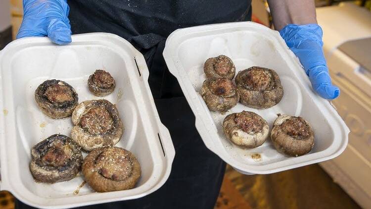 Morgan Hill Mushroom Festival | Morgan Hill, CA