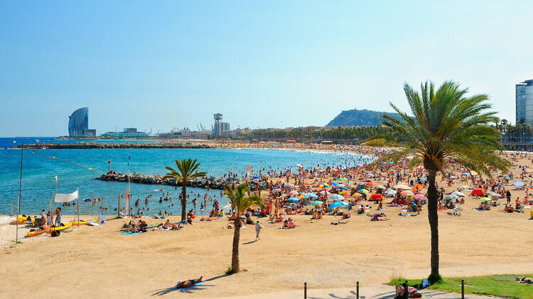 Barceloneta Beach 