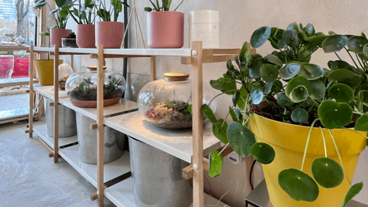 Greenworks Madrid