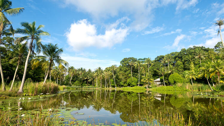 Get a glimpse of old island life at Pulau Ubin