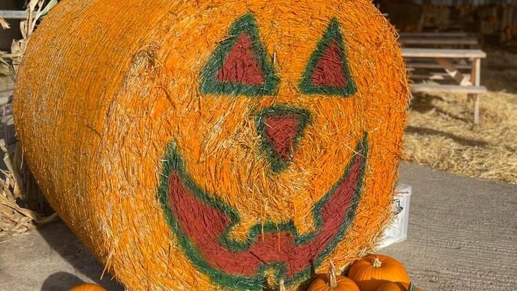Hirsty’s Family Fun Park’s Halloween Hoot