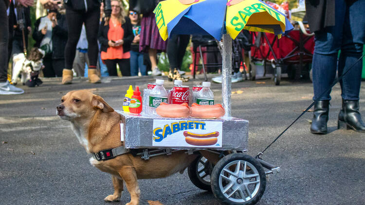 Great PUPkin Dog Costume Contest