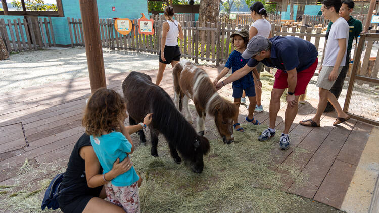Broaden your kid’s knowledge about wildlife at Kidzworld