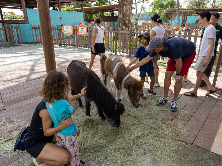 Broaden your kid’s knowledge about wildlife at Kidzworld
