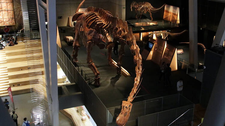 Dinosaure
