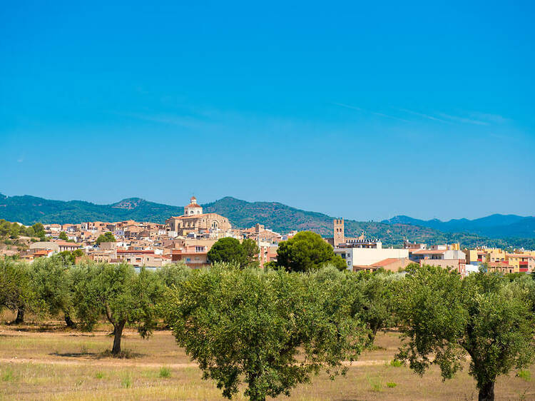 Mont-roig del Camp