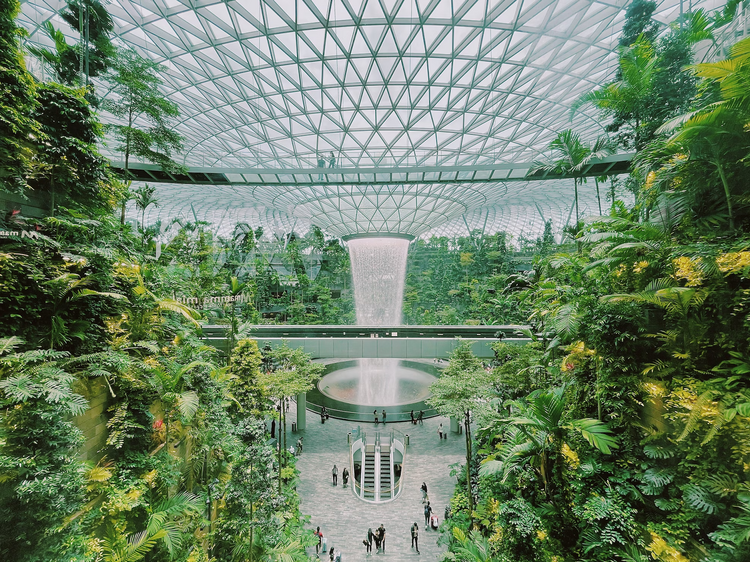 Gawk at the rain vortex at Jewel Changi Airport