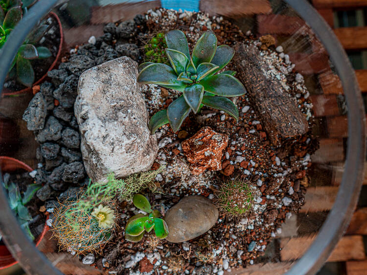 Virtual Terrarium Workshop