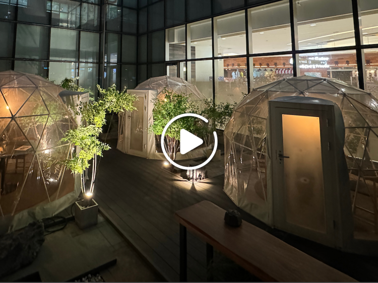 Stella Kappo 尖沙咀 glamping 歎意日菜 Stella Kappo 尖沙咀 glamping 歎意日菜