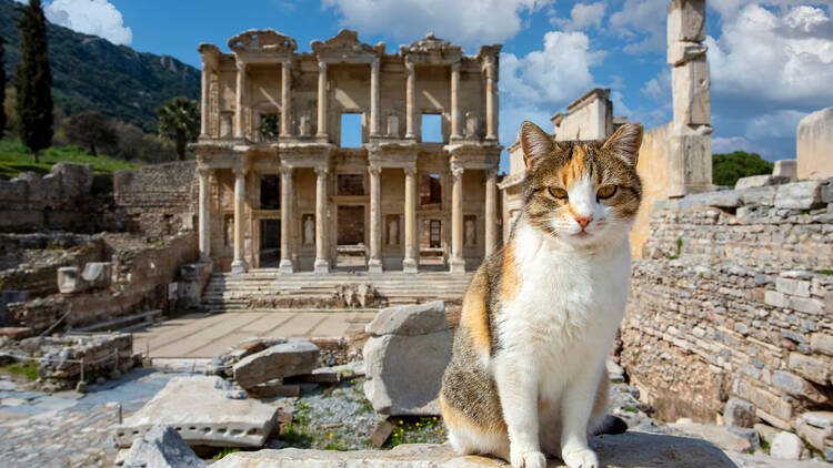 Ephesus, Izmir