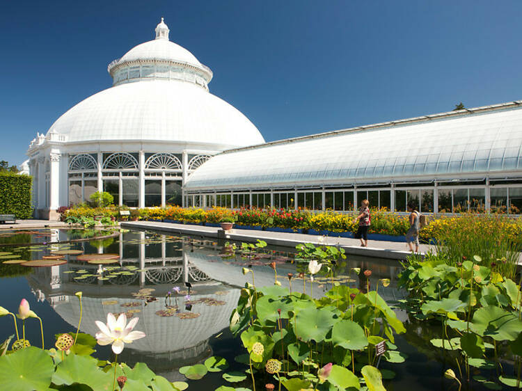 New York Botanical Garden