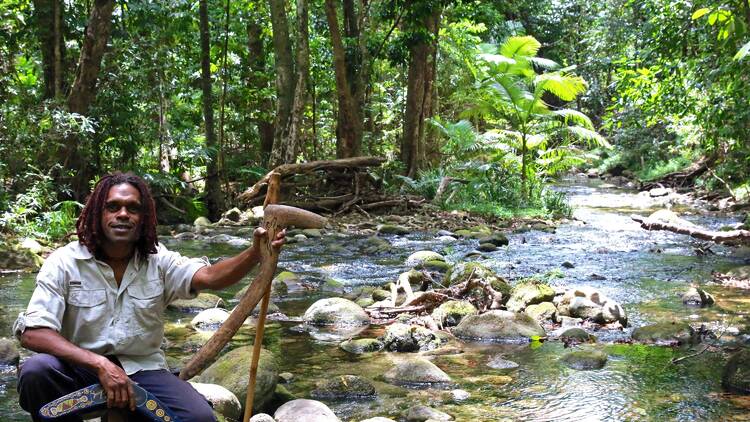 Go on a Dreamtime Walk in the Daintree Rainforest