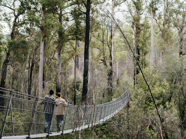 Tahune Airwalk Cabin and Lodge, Geeveston, TAS