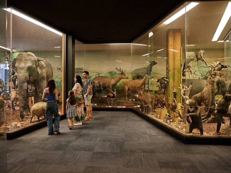 The best museums in Australia