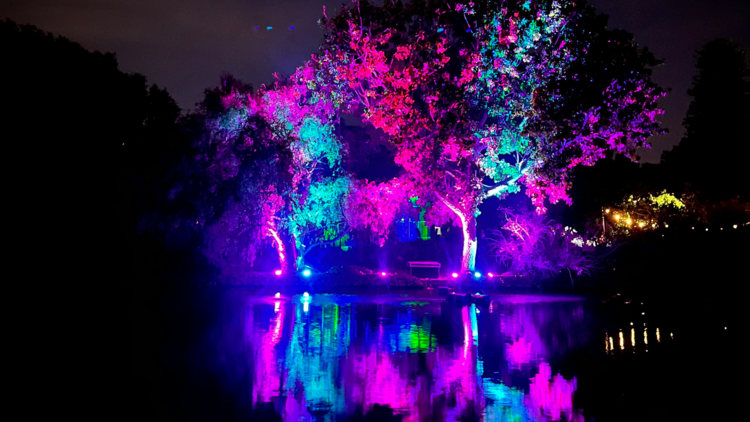 Natural Wonders