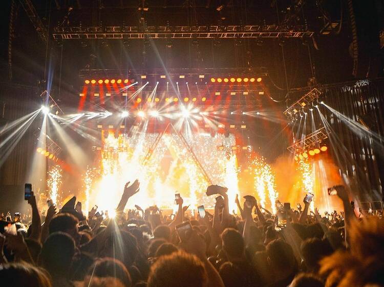 Attending a concert with the best audience in the world