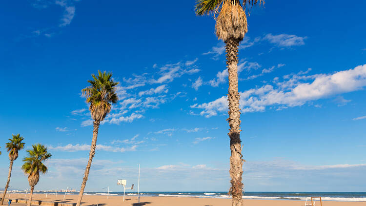 La Patacona La Patacona
