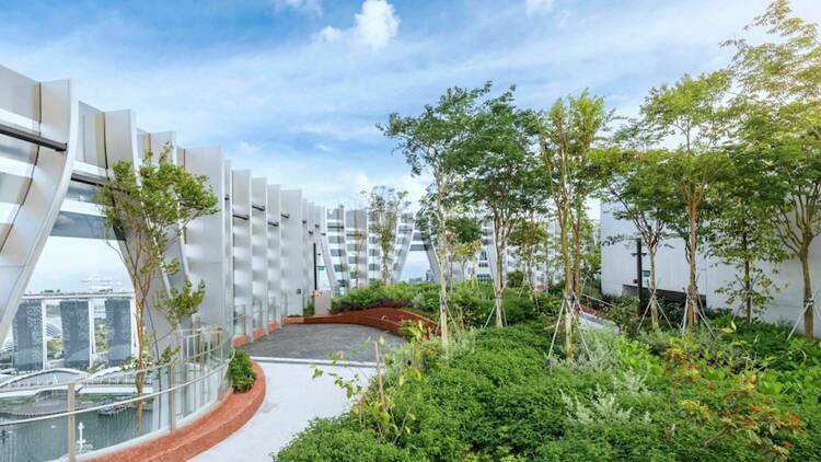Take a break from the city at Sky Garden @ CapitaSpring