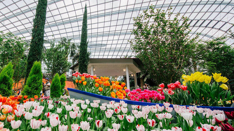 Stop and smell the roses at Gardens by the Bay