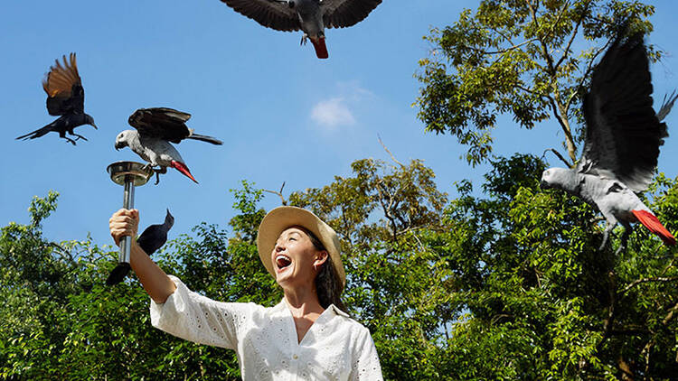 Walk on the wild side at Mandai Wildlife Reserve